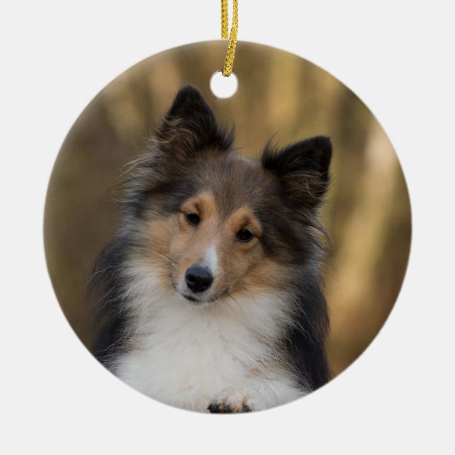 Adsible Sheltie Julgransprydnad Keramik (Framsidan)