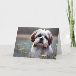 Adsible Shih Tzu Birthday Kort