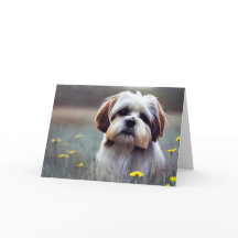 Adsible Shih Tzu Birthday