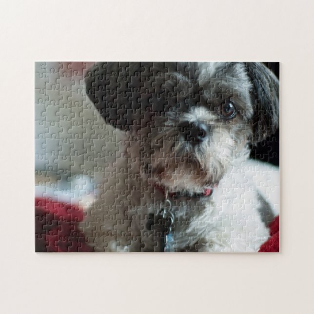 Adsible Shih Tzu Puzzle Pussel (Horisontell)