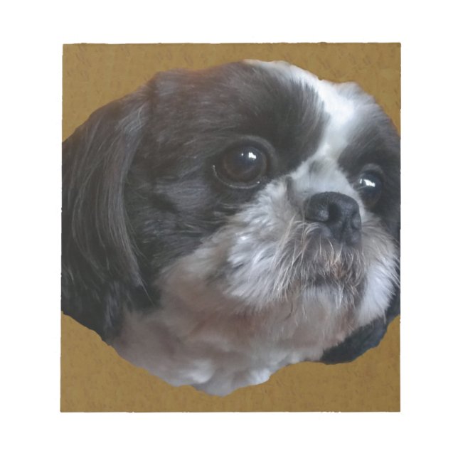 Adsible Shih tzu Rico Anteckningsblock (Framsida)