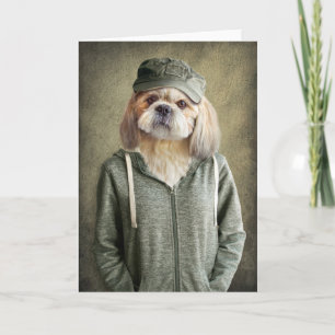 Adsible Shih Tzu Wearing a Cap and Hoodie Kort