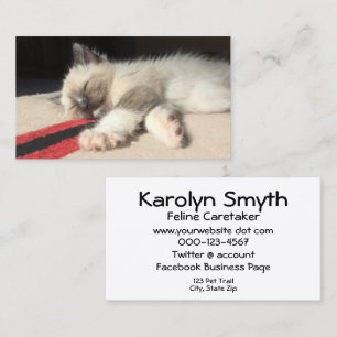 Adsible Siamese Kitten Photographic Animal Day Car Visitkort