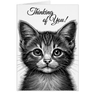 Adsible Sketch of Young Cat Blank Inside Hälsningskort