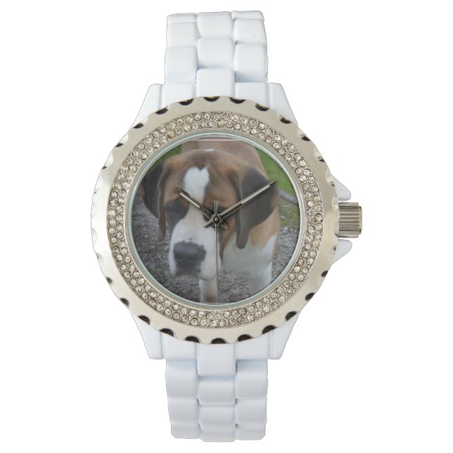 Adsible St Bernard Armbandsur (Framsida)