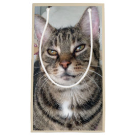 Adsible Tabby katt Photo Gift-tagg
