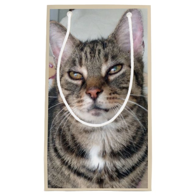 Adsible Tabby katt Photo Gift-tagg (Framsidan)