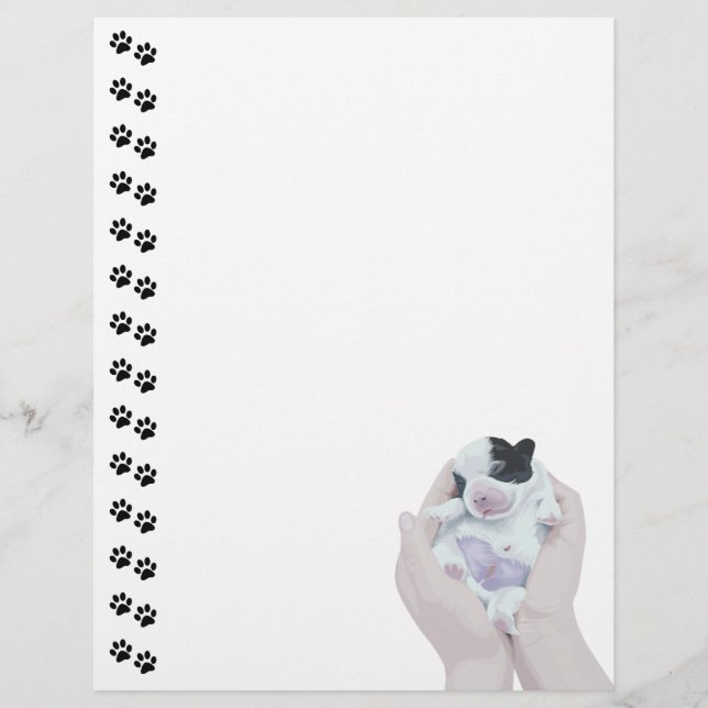 Adsible Tiny Newborn Puppy Letterhead (Framsida)