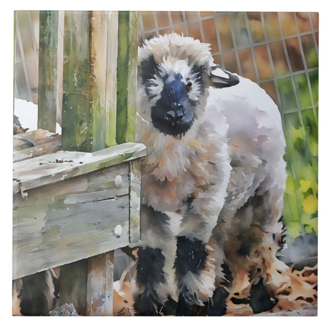 Adsible Valais Kor Lamb Kakelplatta (Framsidan)
