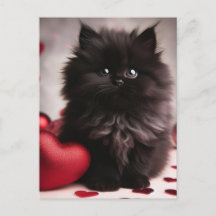 Adsible Valentine Fluffy Black Kitten