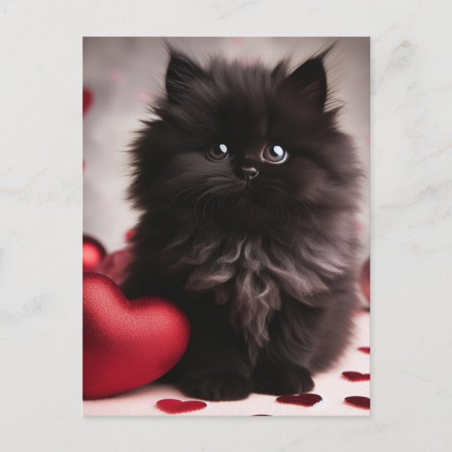 Adsible Valentine Fluffy Black Kitten Vykort (Framsida)