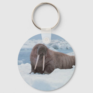 Adsible Walrus Nyckelring