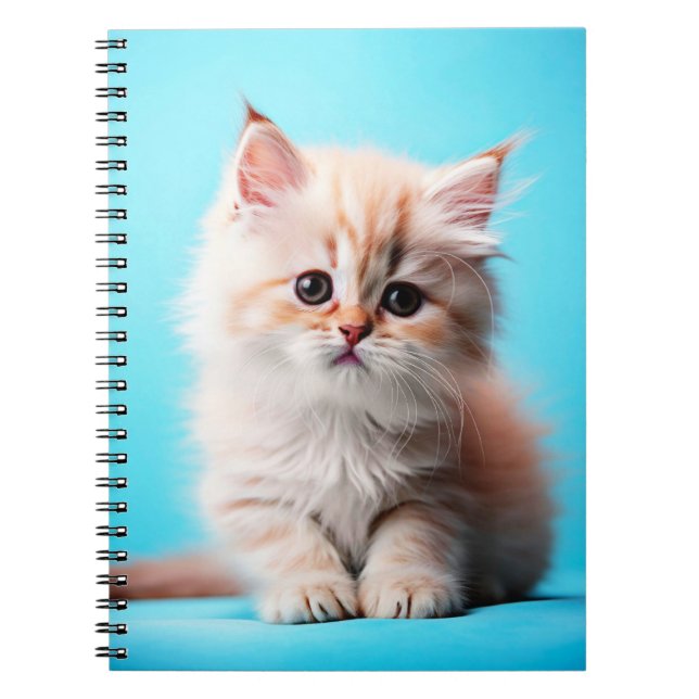Adsible White Kitten Potrait-54971 Anteckningsbok (Framsidan)