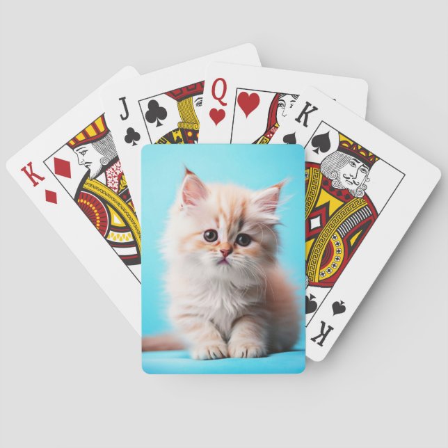 Adsible White Kitten Potrait-54971 Casinokort (Baksidan)