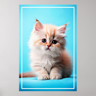 Adsible White Kitten Potrait-54971 Poster
