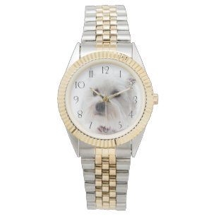 Adsible White Väster Highland Terrier Armbandsur