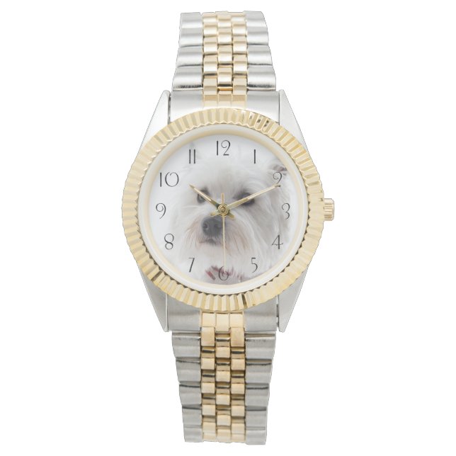 Adsible White Väster Highland Terrier Armbandsur (Framsida)