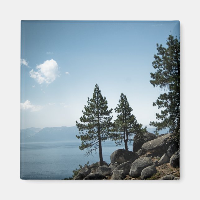 Advantage Magnet (Framsidan)