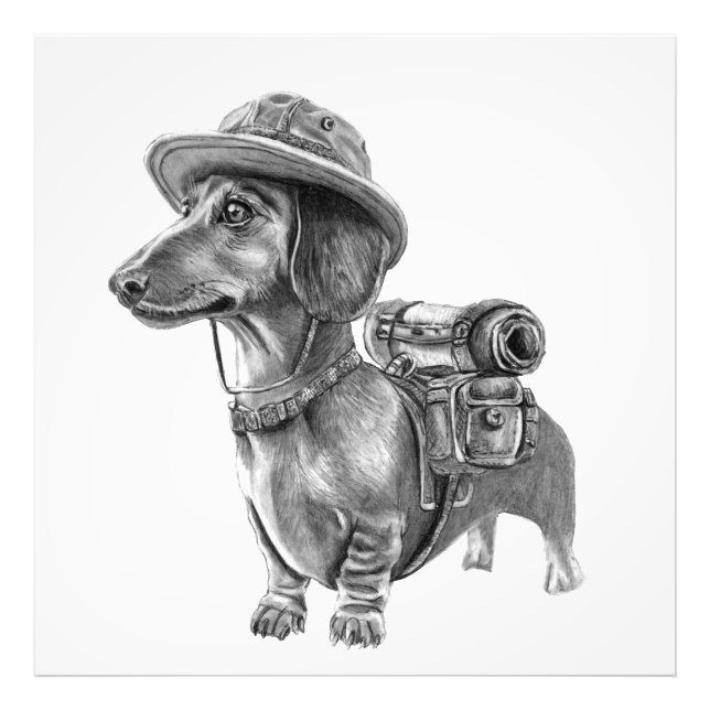 Adventurous dachshund fototryck (Framsidan)