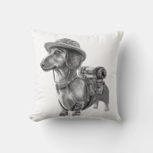 Adventurous dachshund
