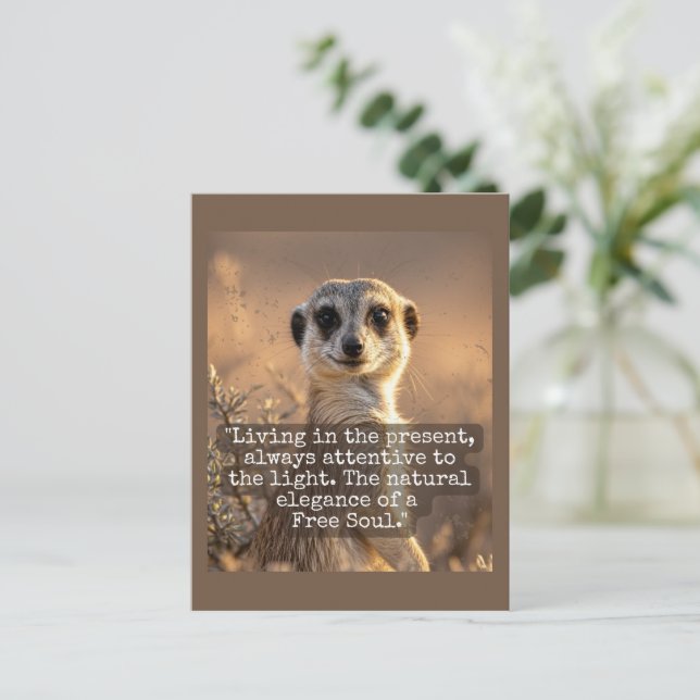 Adventurous Meerkat Living Vykort (Stående Fram)