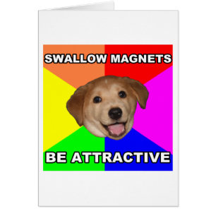 Advice Hund Svälj magneter Hälsningskort