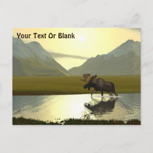 Aeftermiddag Moose Vykort