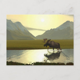 Aeftermiddag Moose Vykort