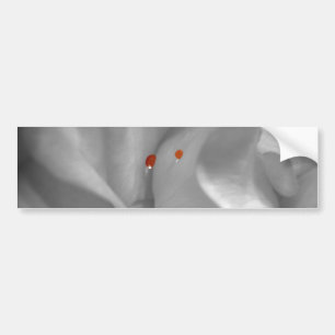 Aeolian Watercolor Bumper Sticker Bildekal
