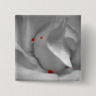 Aeolian Watercolor Button Knapp