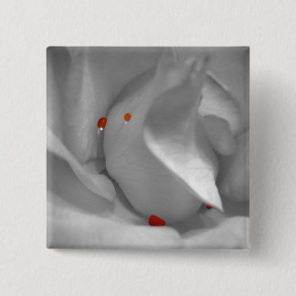 Aeolian Watercolor Button Knapp