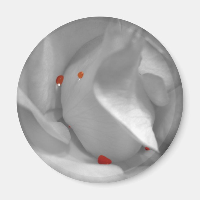 Aeolian Watercolor Magnet (Framsidan)