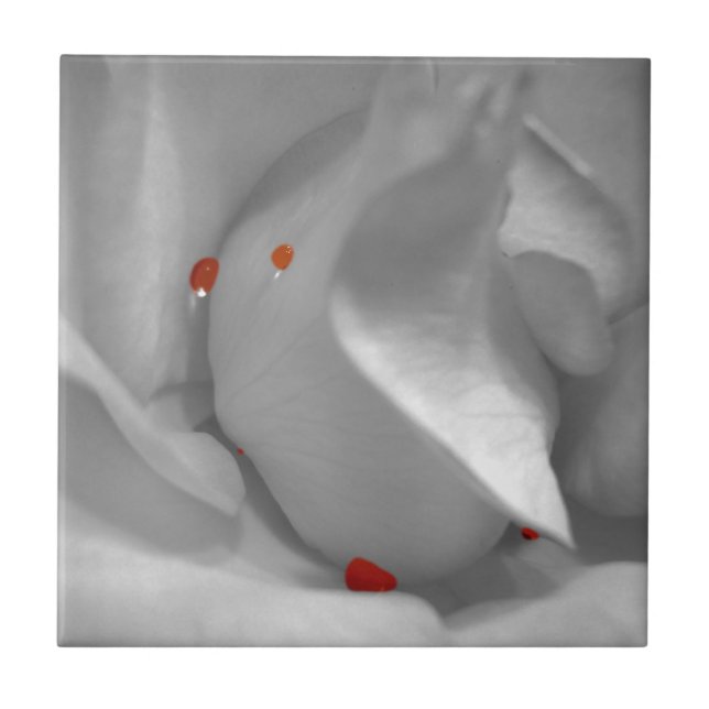 Aeolisk vattenfärgsdekorativ panel kakelplatta (Framsidan)