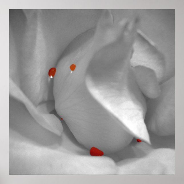 Aeolisk vattenfärgsutskrift poster (Framsidan)