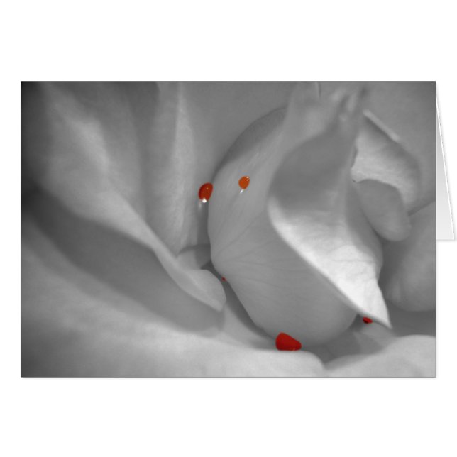 Aeoliskt vattenfärgkort hälsningskort (Framsidan Horizontal)