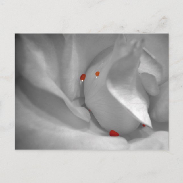 Aeoliskt vykort för vattenfärg (Framsida)