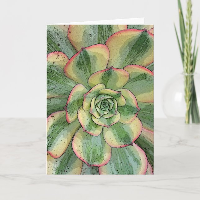 Aeonium 'Sunburst' notecard Kort (Framsida)