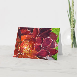 Aeonium-vattenfärgkort Kort