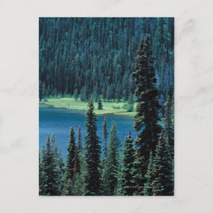 Aereriskt utseende av Grand Teton National Park. Vykort