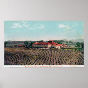 Aererivy över Kalifornien Vineyard och Winery Poster