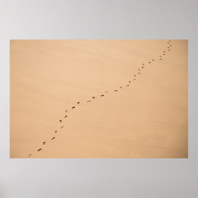Aerial photography of footprints in the sand poster (Framsidan)