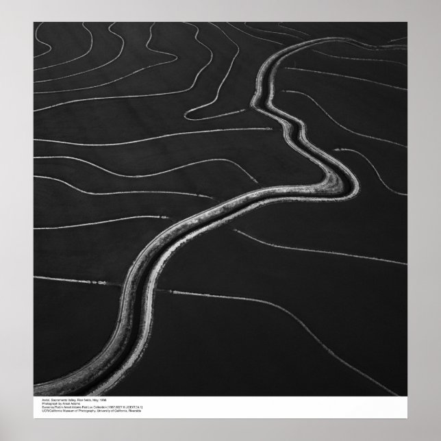 Aerial Sacramento Valley, Ris May, 1966 Poster (Framsidan)