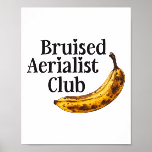 Aerial Silkesring Blåmärkt Aerialistklubb Akrobati Poster