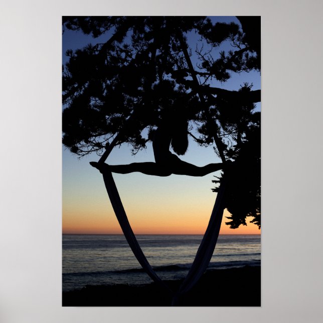 Aerial Silks at Sunset Vertical Poster (Framsidan)