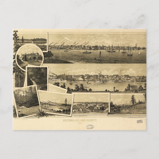 Aerial View of Victoria, British Columbia (1884) Vykort (Framsida)