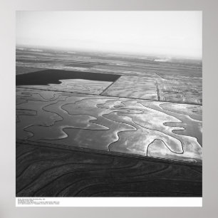 Aerials, Sacramento Valley, Ris, fält, maj 1966 Poster