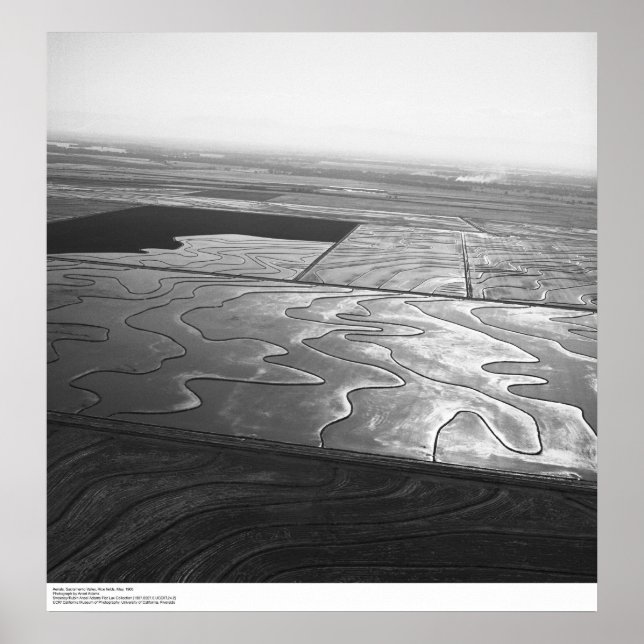 Aerials, Sacramento Valley, Ris, fält, maj 1966 Poster (Framsidan)