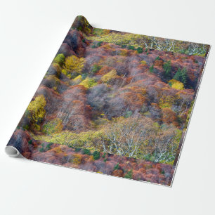 Aerialvy över höstskog, färgat Träd Presentpapper