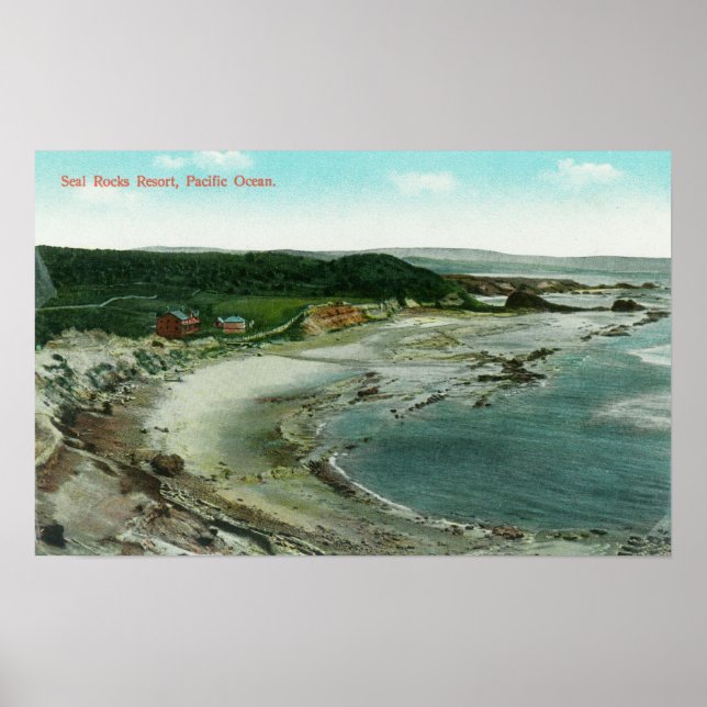 Aerialvy över sälar i Sten och Stilla havet Poster (Framsidan)