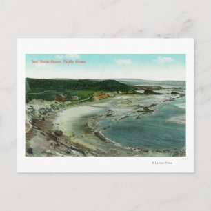 Aerialvy över sälar i Sten och Stilla havet Vykort